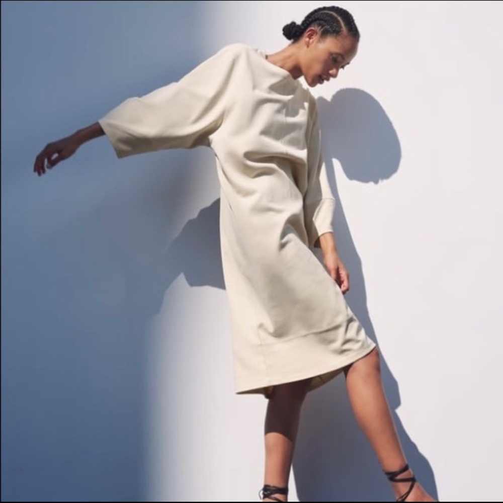 Zara Voluminous Sleeve Dress in Beige
